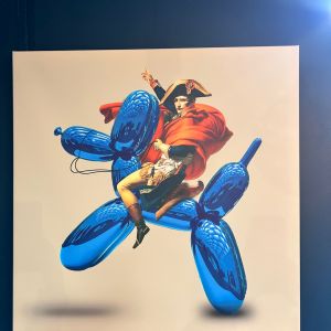 Dog Balloon Entrance